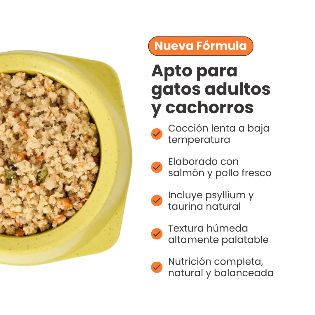 Alimento Congelado Nativo Fresh Salmón Kanu Pet para Gato Adulto y Cachorro - Image 6