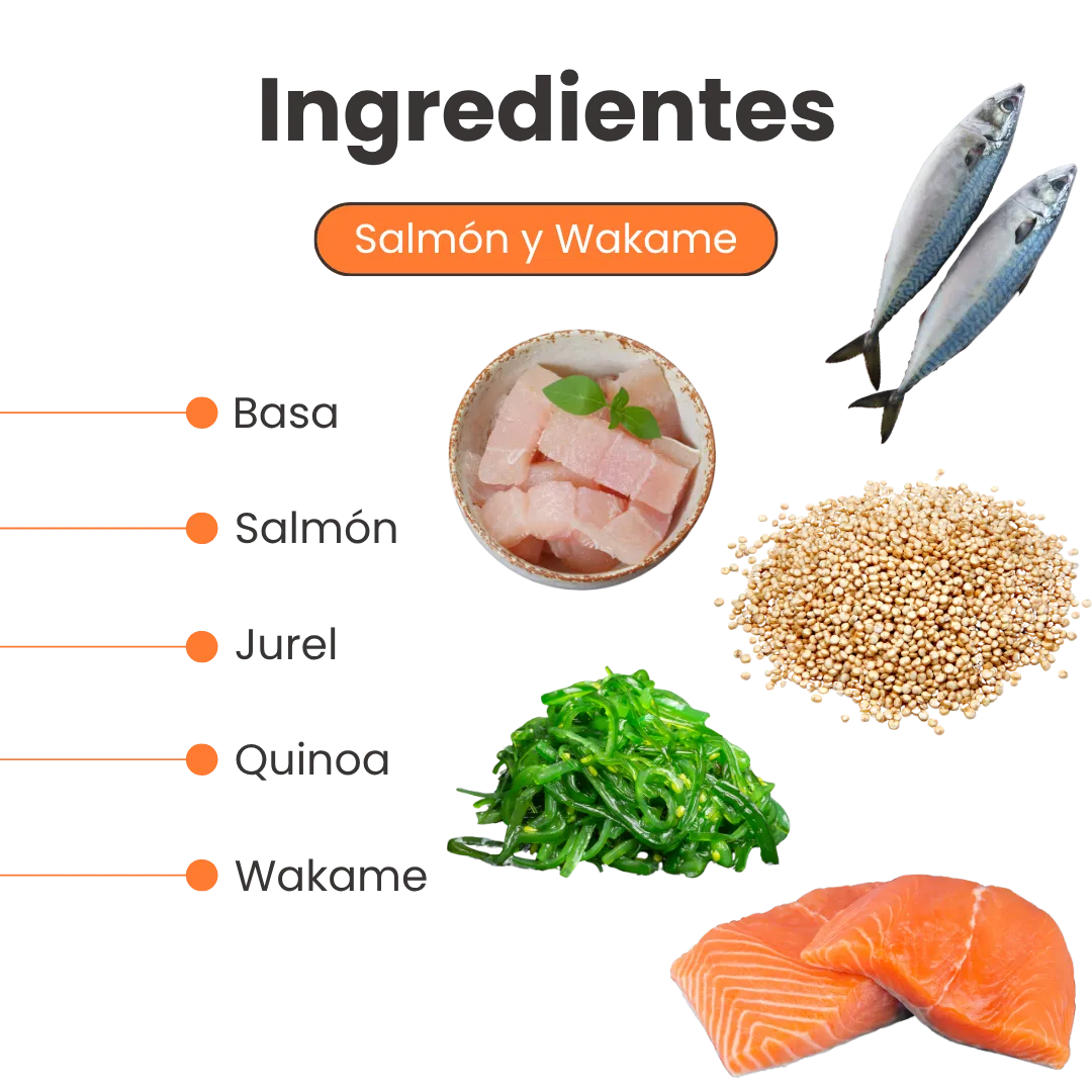 Alimento Congelado Nativo Fresh sabor a Salmón y Wakame Kanu Pet para Perros. 100% Comida Real - Image 3