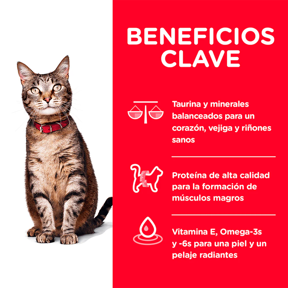 Alimento Seco Hills Felino Adulto Optimal Care para Gato - Image 4
