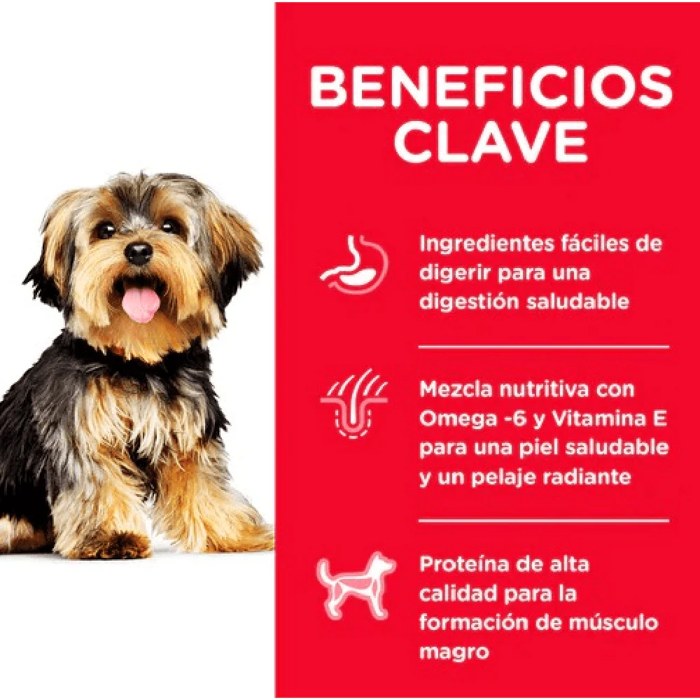 Alimento Seco Hills Canino Adulto Toy Breed Pollo para Perro - Image 4