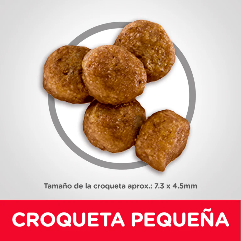 Alimento Seco Hills Canino Cachorro Small Bites para Perro - Image 3