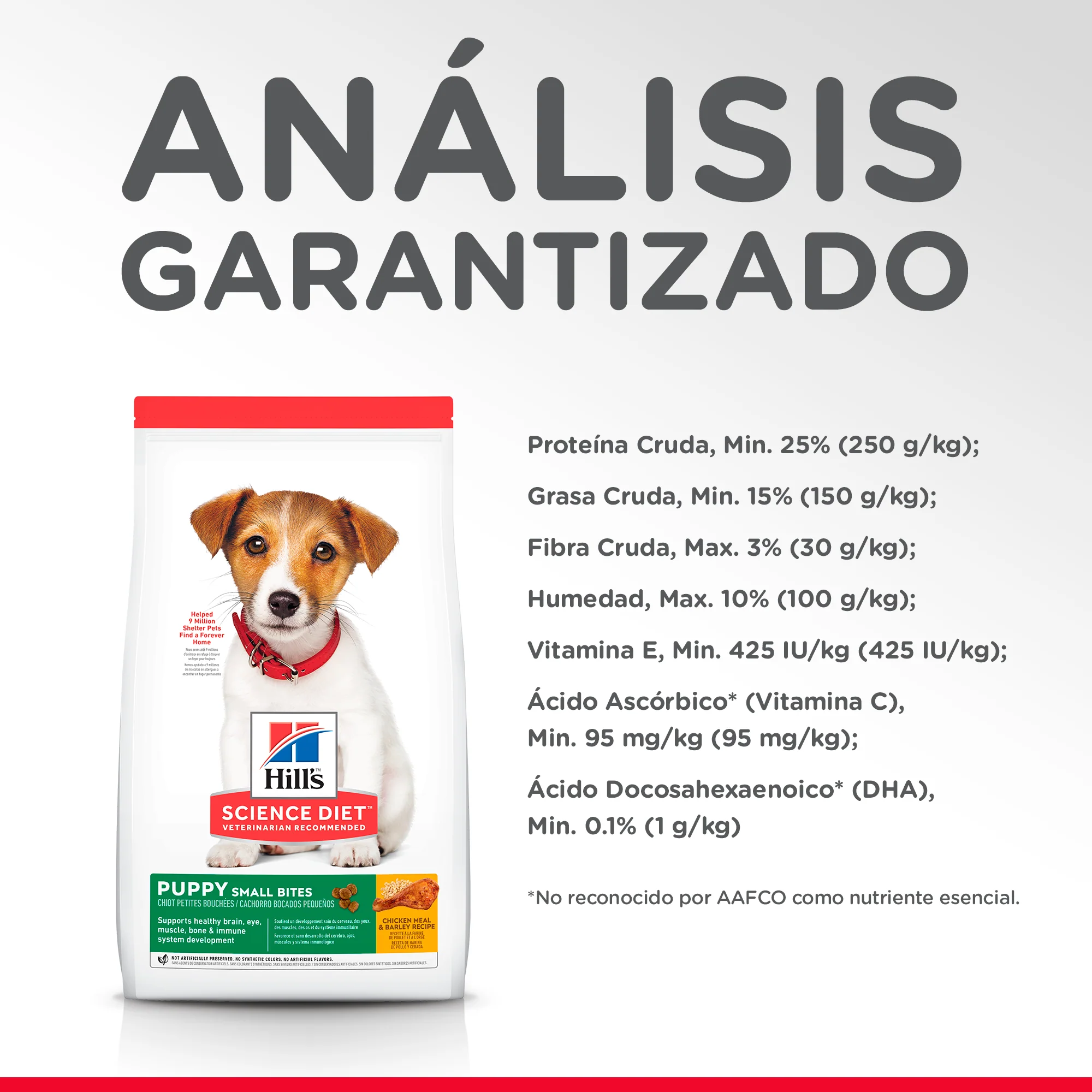 Alimento Seco Hills Canino Cachorro Small Bites para Perro - Image 5
