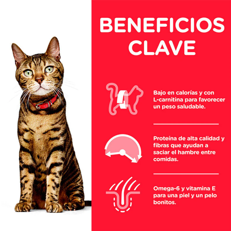 Alimento Seco Hills Adulto Felino Peso Perfecto para gato - Image 4