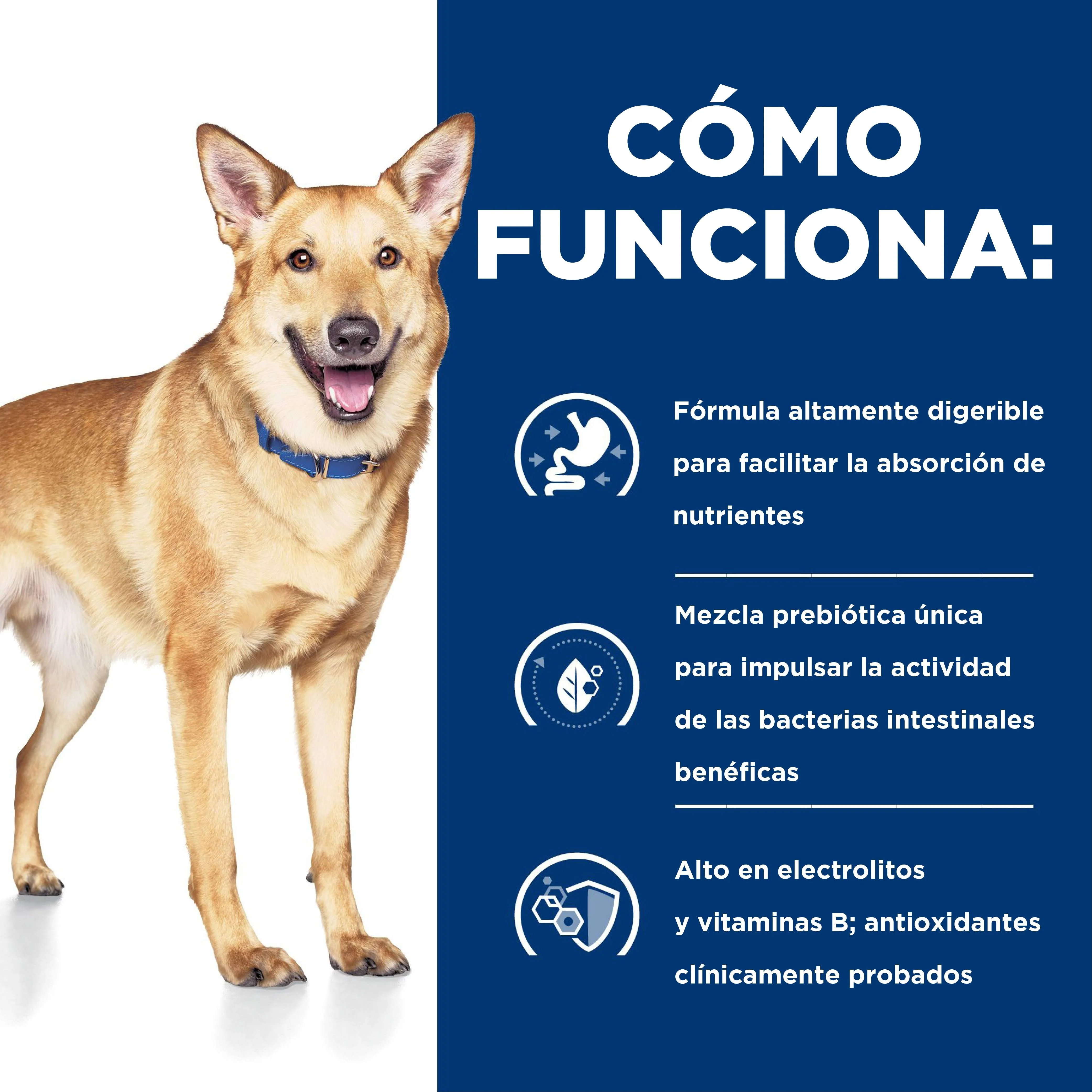 Alimento Húmedo Hills Canino I/D Bajo En Grasa para Perro Lata - Image 4