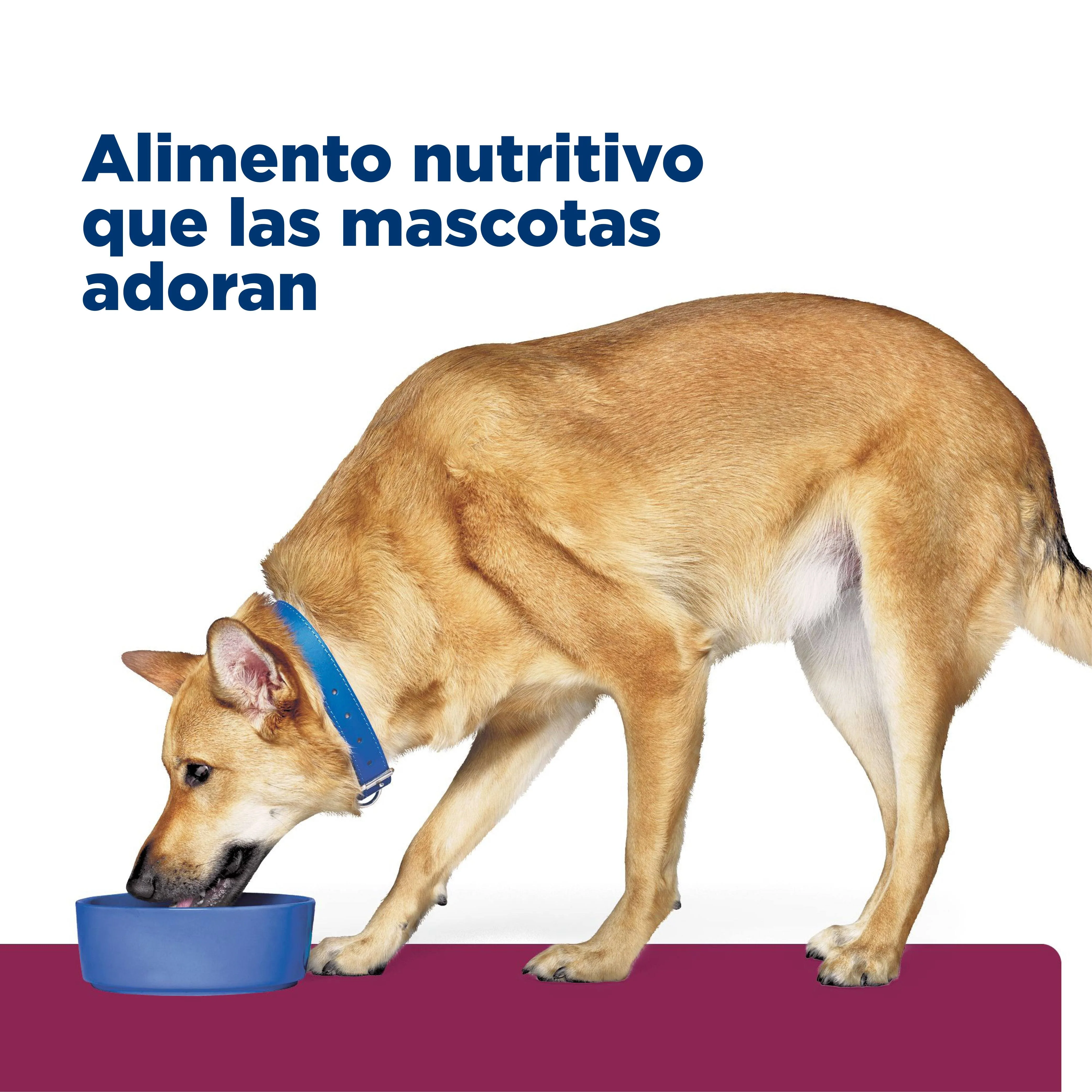 Alimento Húmedo Hills Canino I/D Lata para Perro - Image 4