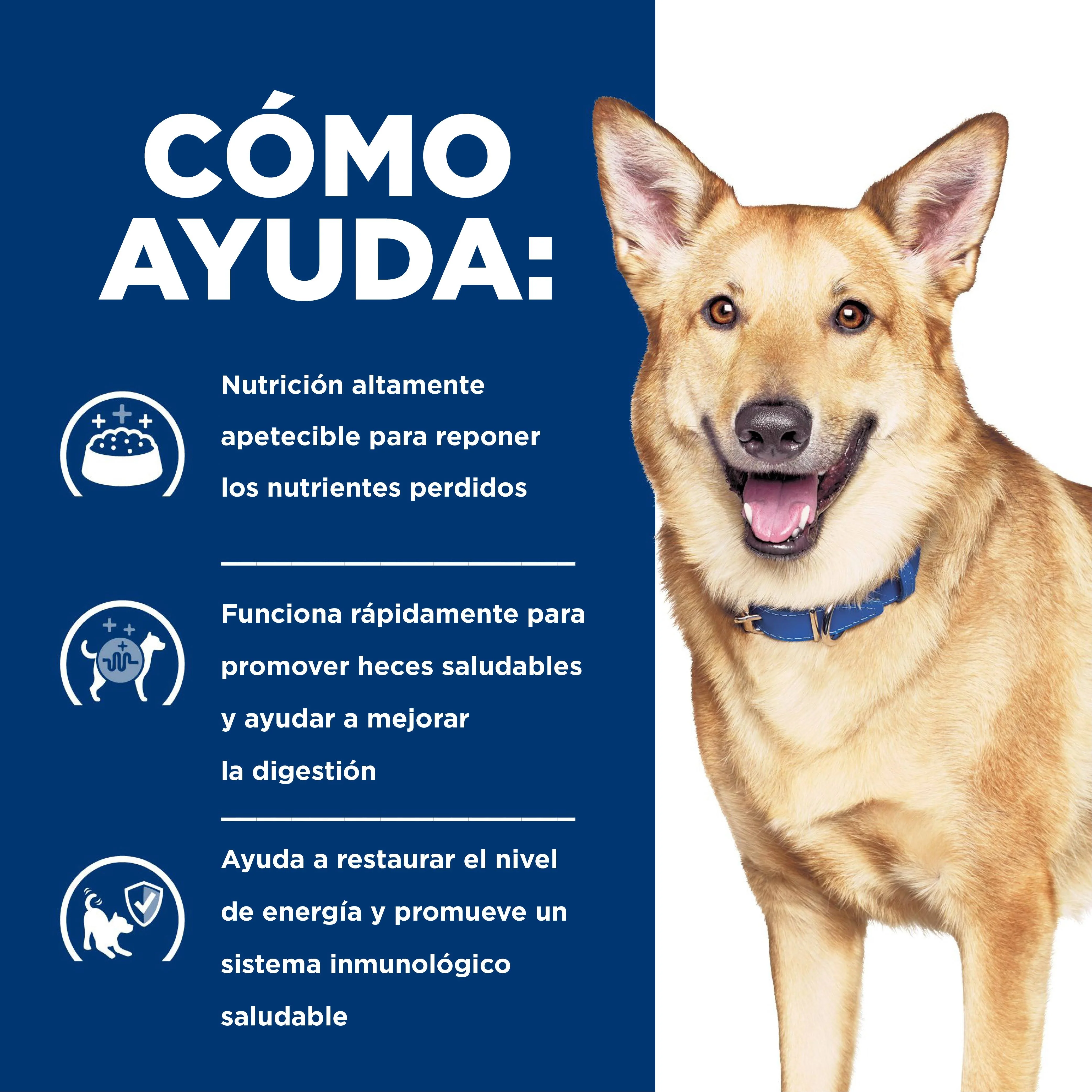 Alimento Húmedo Hills Canino I/D Lata para Perro - Image 7