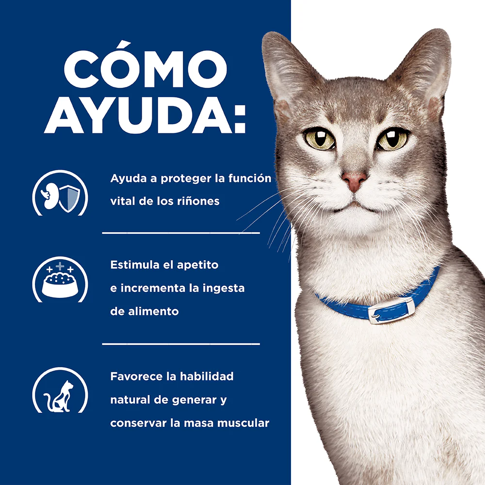 Alimento Húmedo Hills Felino K/D para gato Lata - Image 3