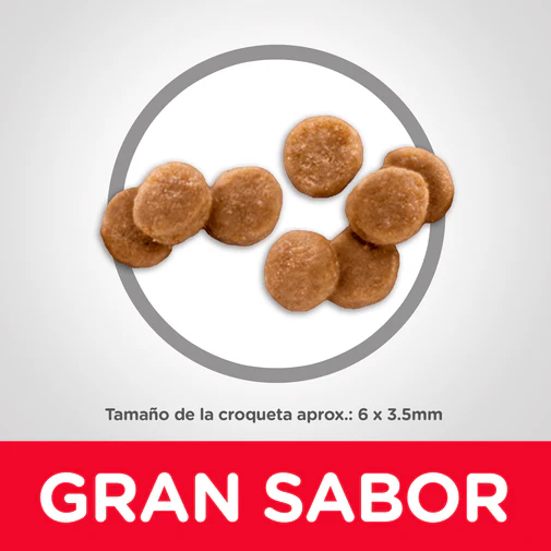Alimento Seco Hills Felino Kitten Development para Gato - Image 3