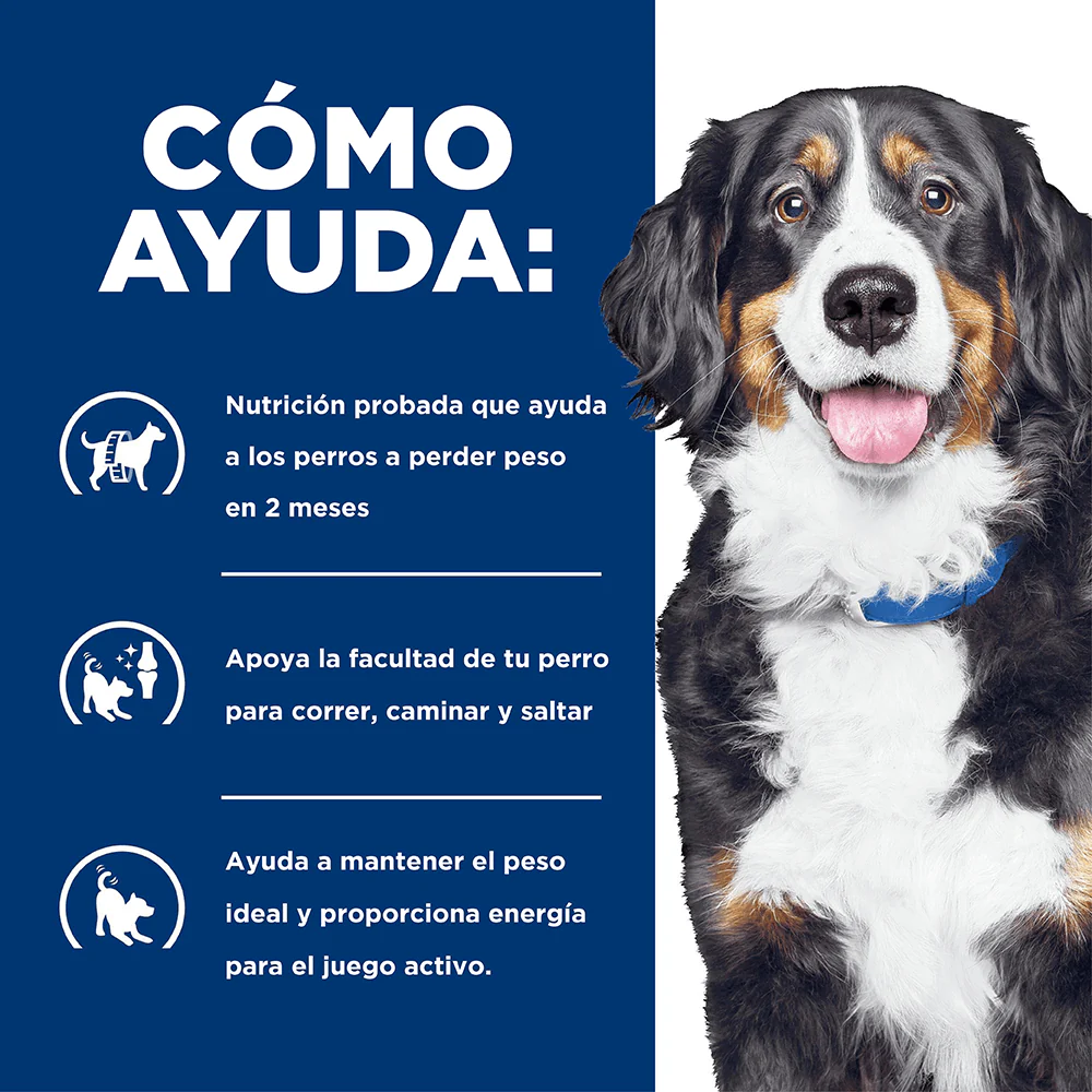 Alimento Seco Hills Canino Metabolic Mobility para Perro - Image 4