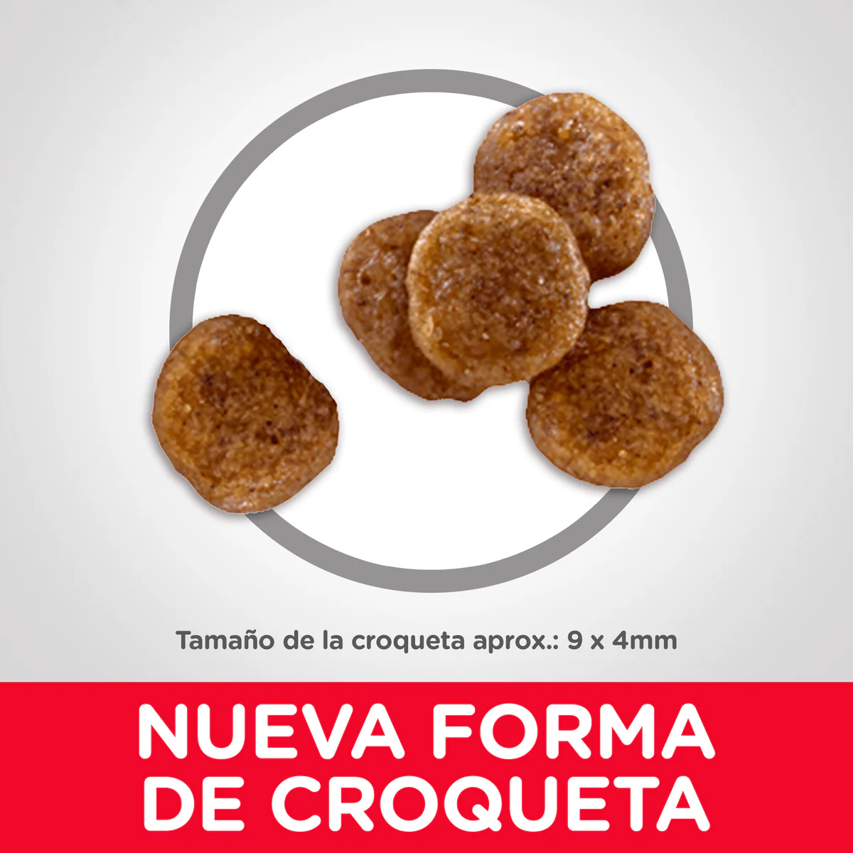 Alimento Seco Hills Canino Senior Small Bites para Perro - Image 3