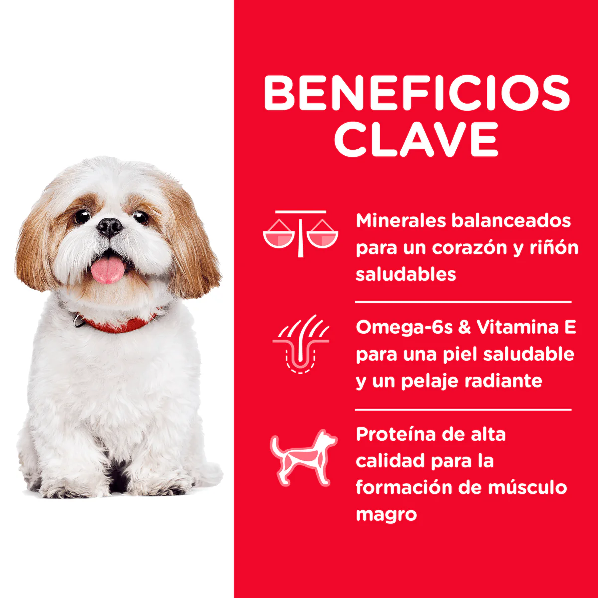 Alimento Seco Hills Canino Senior Small Bites para Perro - Image 4
