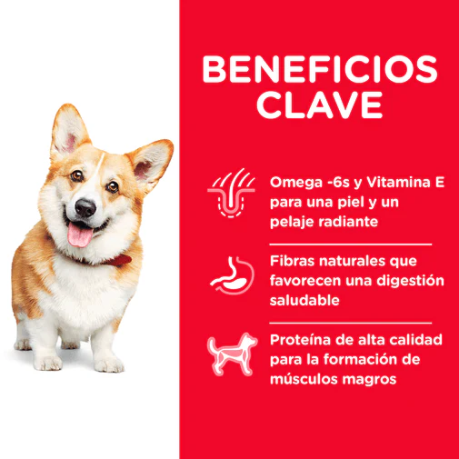 Alimento Seco para perro Hills Adulto Small Bites - Image 5