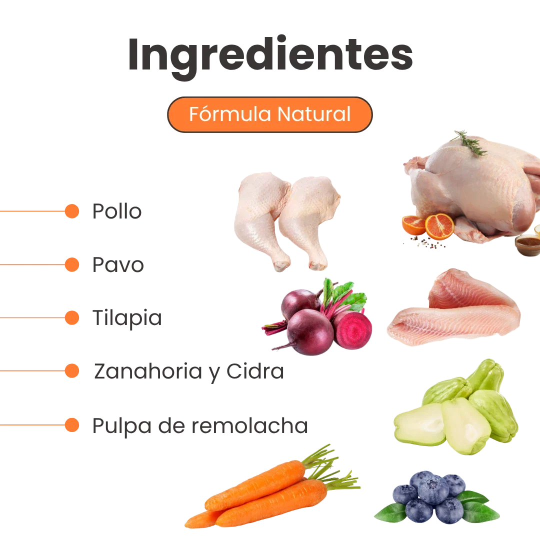 Alimento Húmedo Nativo Chef’s Recipe Hairball Control Kanu Pet para Gatos - Image 3