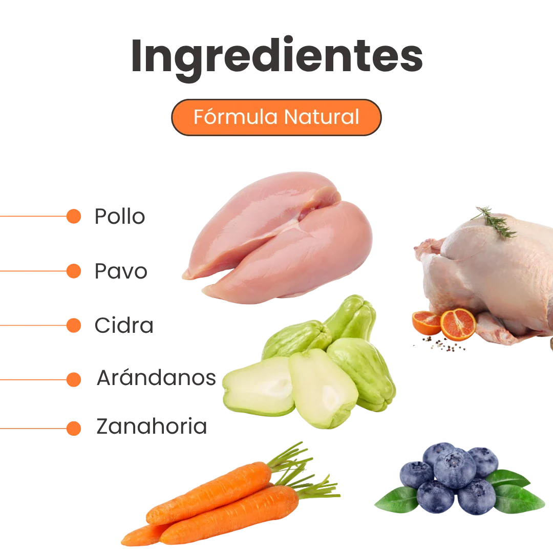 Alimento Húmedo Nativo Chef’s Recipe Senior Kanu Pet para Gatos - Image 3