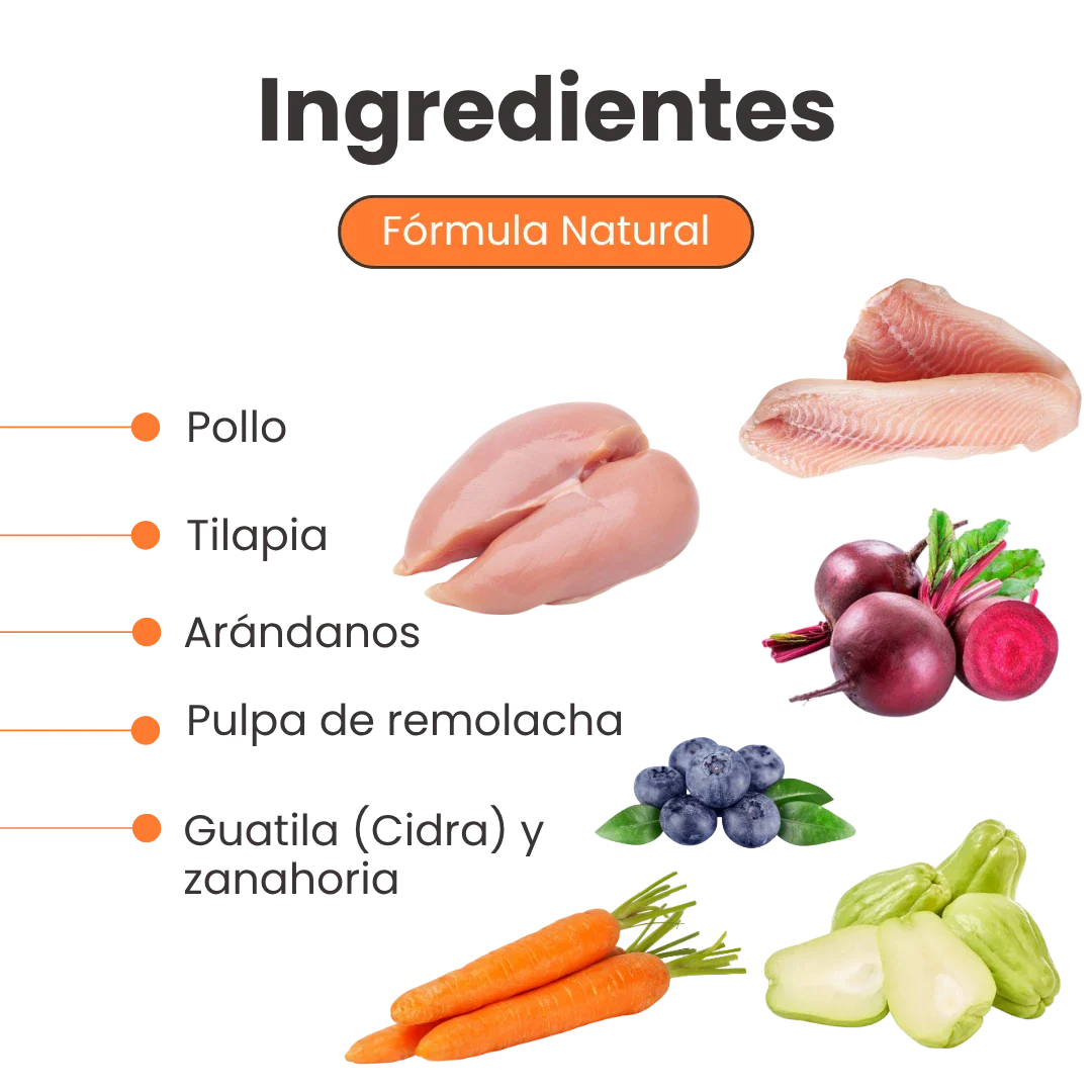 Alimento Húmedo Nativo Light Chef’s Recipe Kanu Pet para Gatos - Image 3
