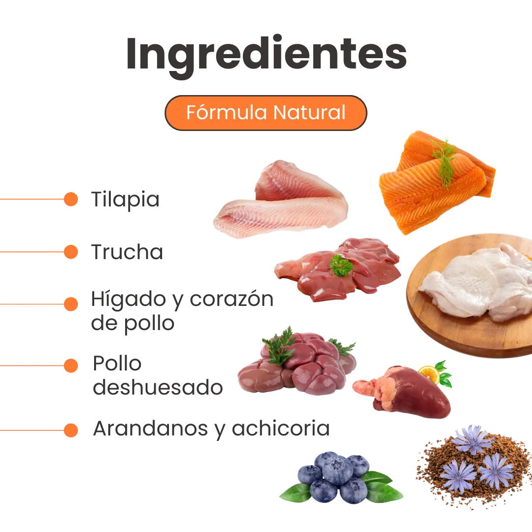 Alimento Húmedo Nativo Wild Chef’s Recipe Multi Protein Kanu Pet para Gatos - Image 3