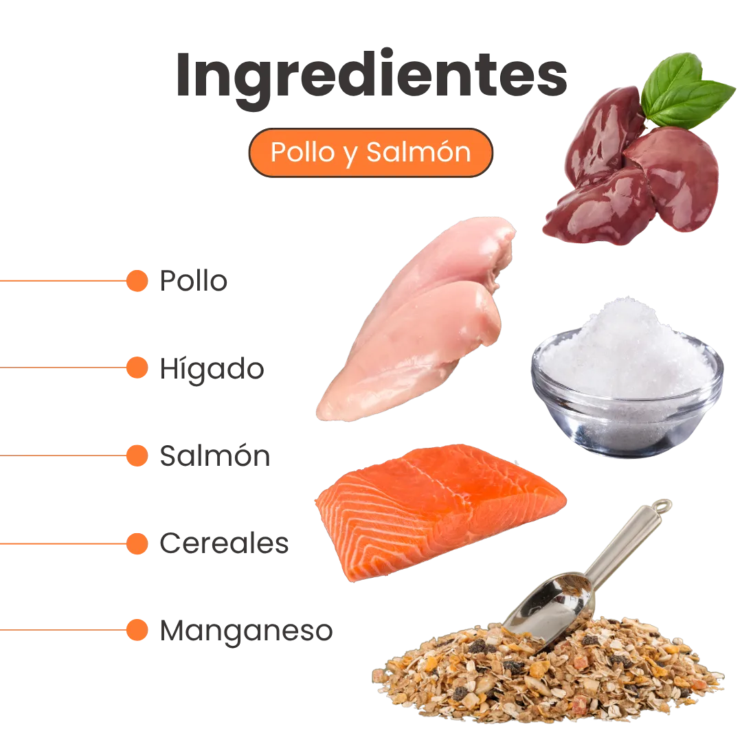 Alimento Húmedo Goulash Pollo Hígado Kanu Pet para perro adulto Lata - Image 3