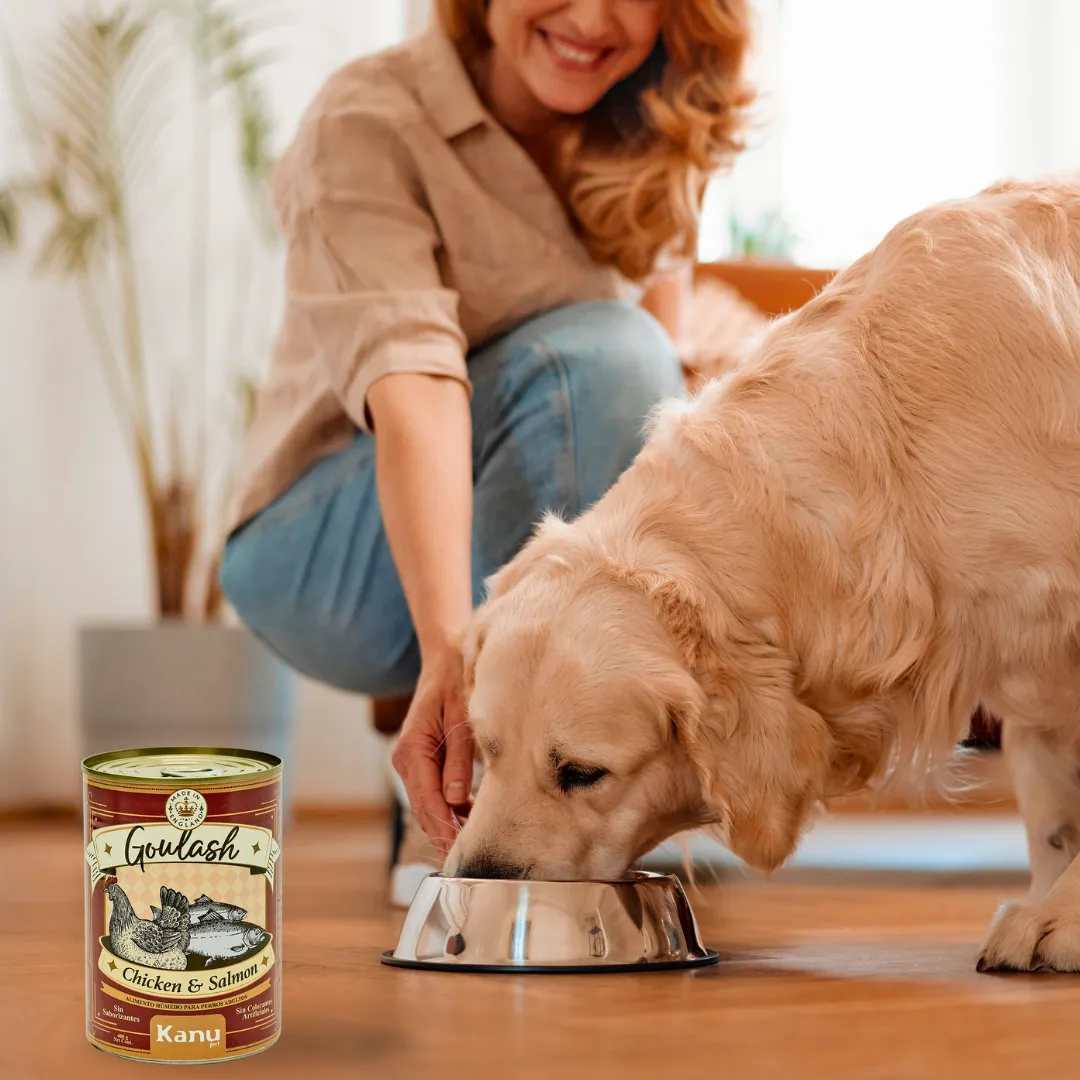 Alimento Húmedo Goulash Pollo Hígado Kanu Pet para perro adulto Lata - Image 5