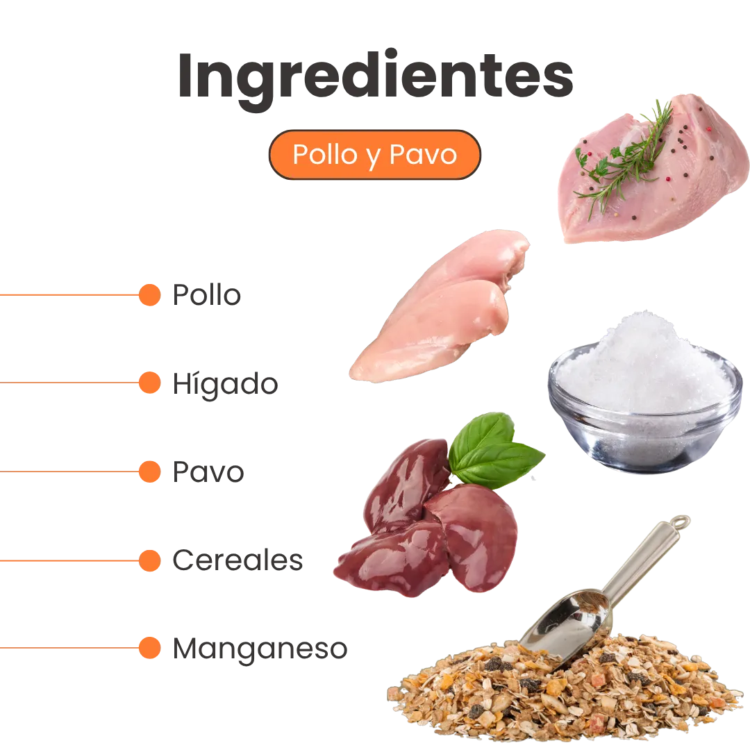 Alimento Húmedo Goulash Pollo y Pavo Kanu Pet para perro adulto Lata - Image 3