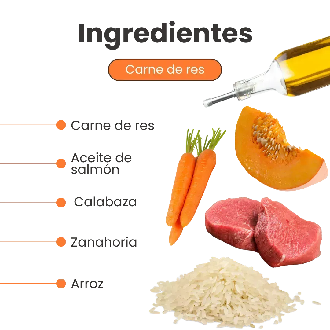 Alimento Húmedo Paté de Res Kanu Pet para Perros - Image 3