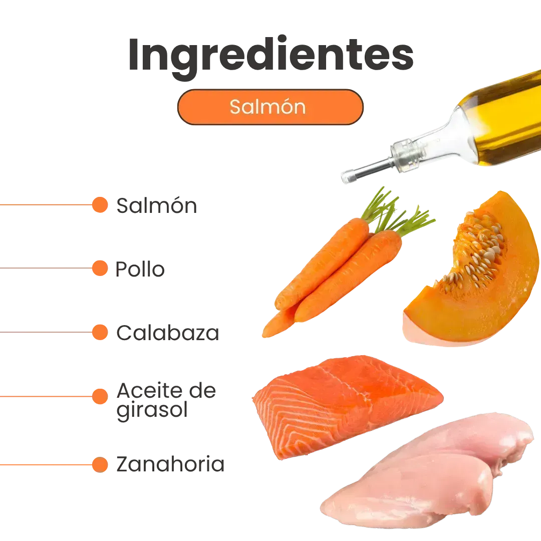 Alimento Húmedo Pate de Salmón Kanu Pet para Perros - Image 3
