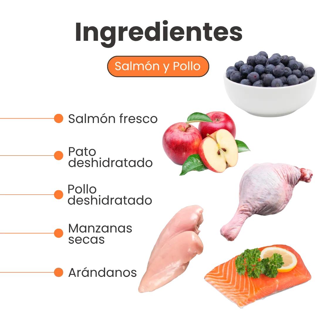 Alimento Seco Nativo Persian Kanu Pet para Gato Adulto - Image 3