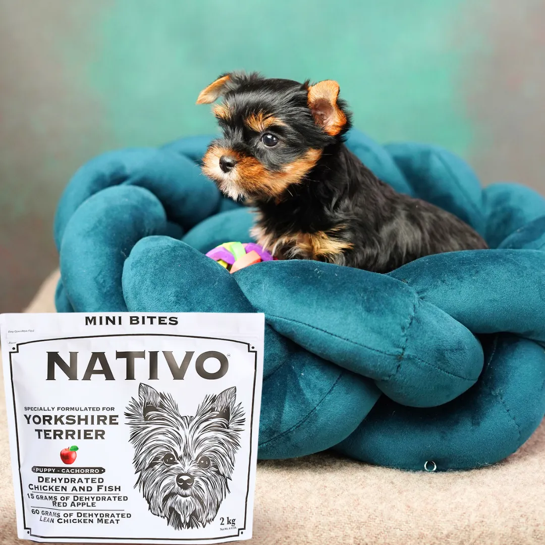 Alimento Seco Nativo Yorkshire Terrier Cachorro Kanu Pet para Perro - Image 5