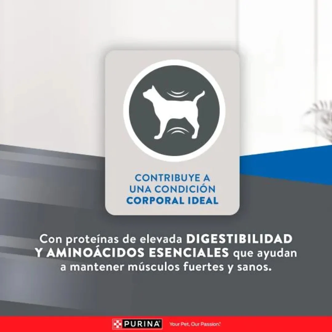 Alimento Seco Excellent Adulto Urinary Para Gato - Image 4