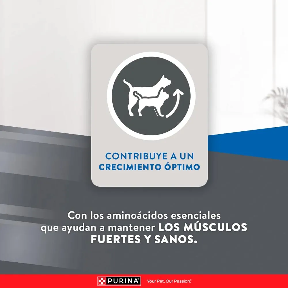 Alimento Seco Excellent para Gato Kitten - Image 6