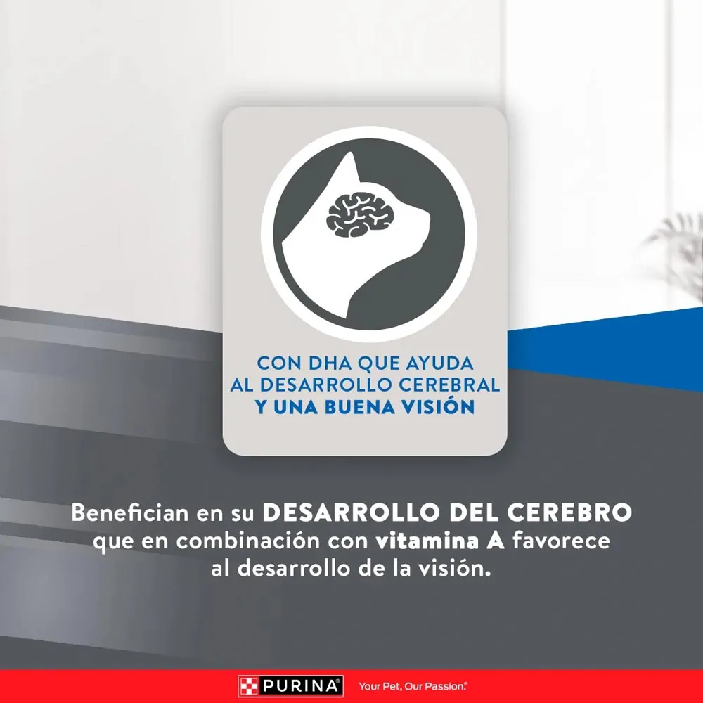 Alimento Seco Excellent para Gato Kitten - Image 7