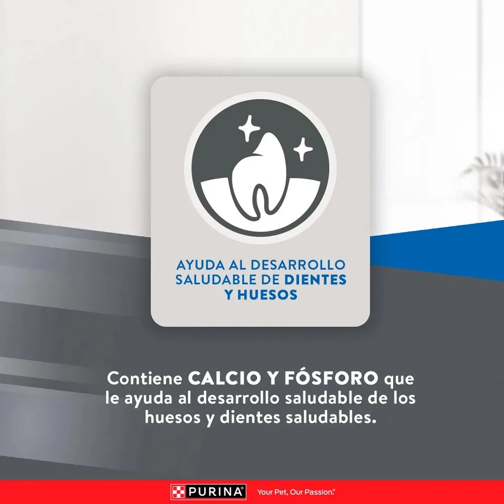 Alimento Seco Excellent para Gato Kitten - Image 8
