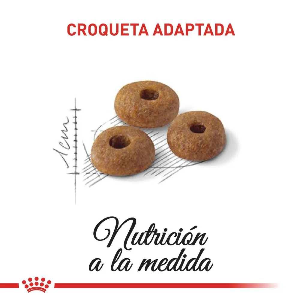 Alimento Seco Royal Canin Fit Pecio Especial para Gato Adulto - Image 2