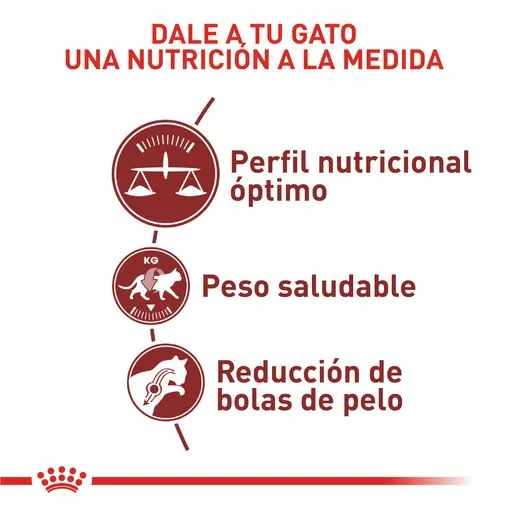 Alimento Seco Royal Canin Fit Pecio Especial para Gato Adulto - Image 3