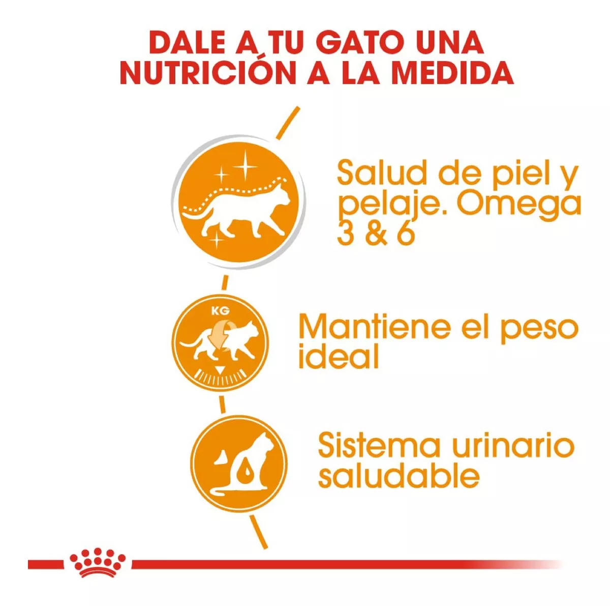 Alimento para gato Royal canin lata Beauty - Image 4