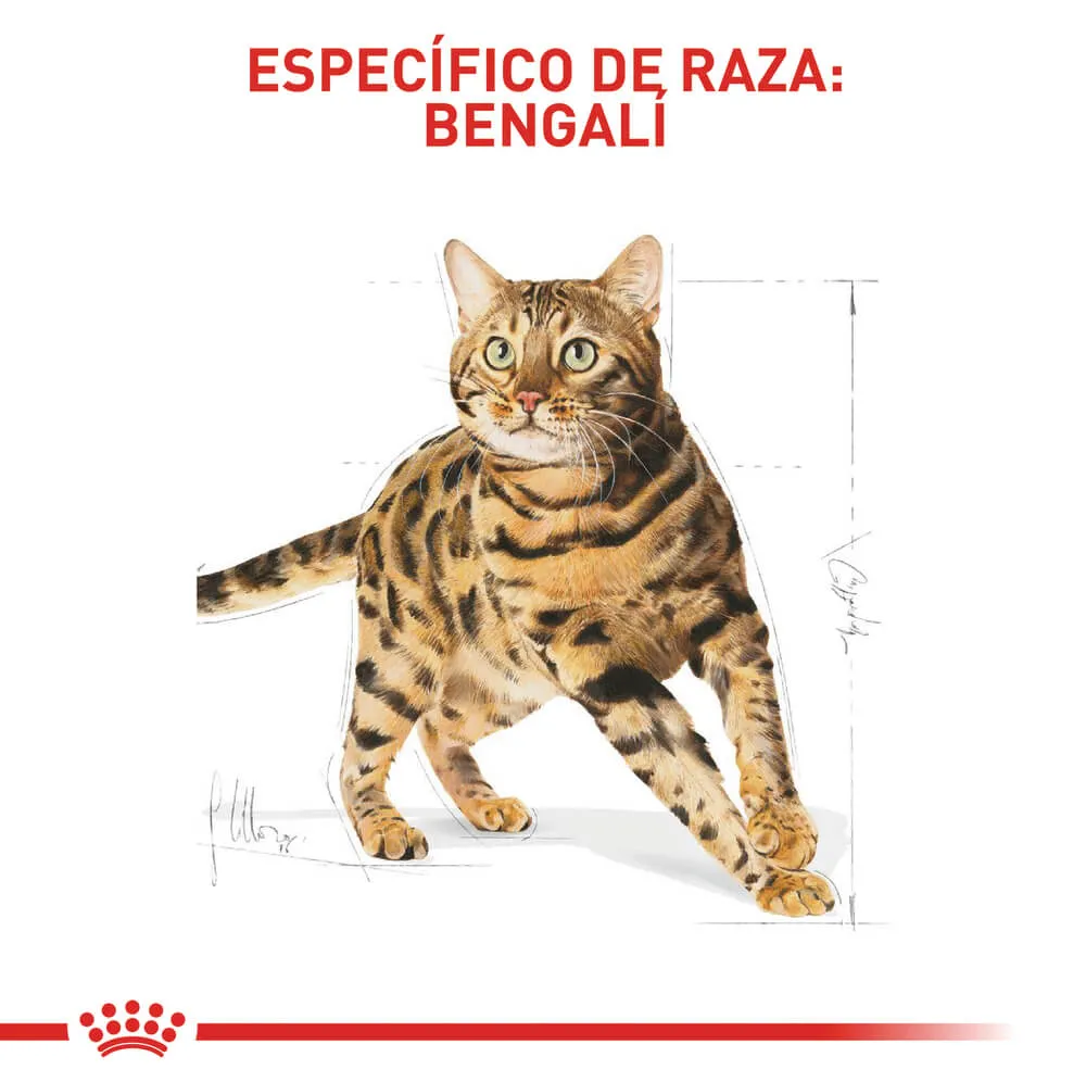 Alimento Para Gato Royal Canin Bengal Adult - Image 5
