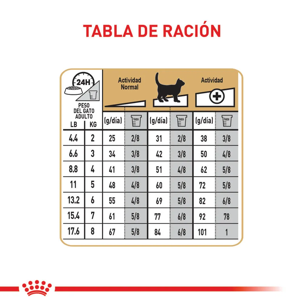 Alimento Para Gato Royal Canin Bengal Adult - Image 7