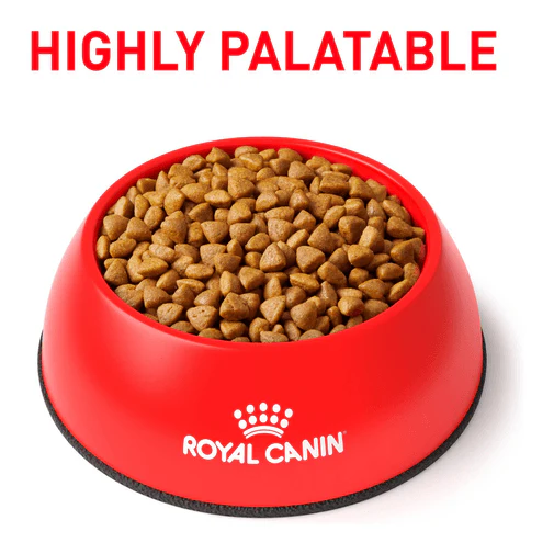 Alimento Para Gato Royal Canin Calm - Image 3