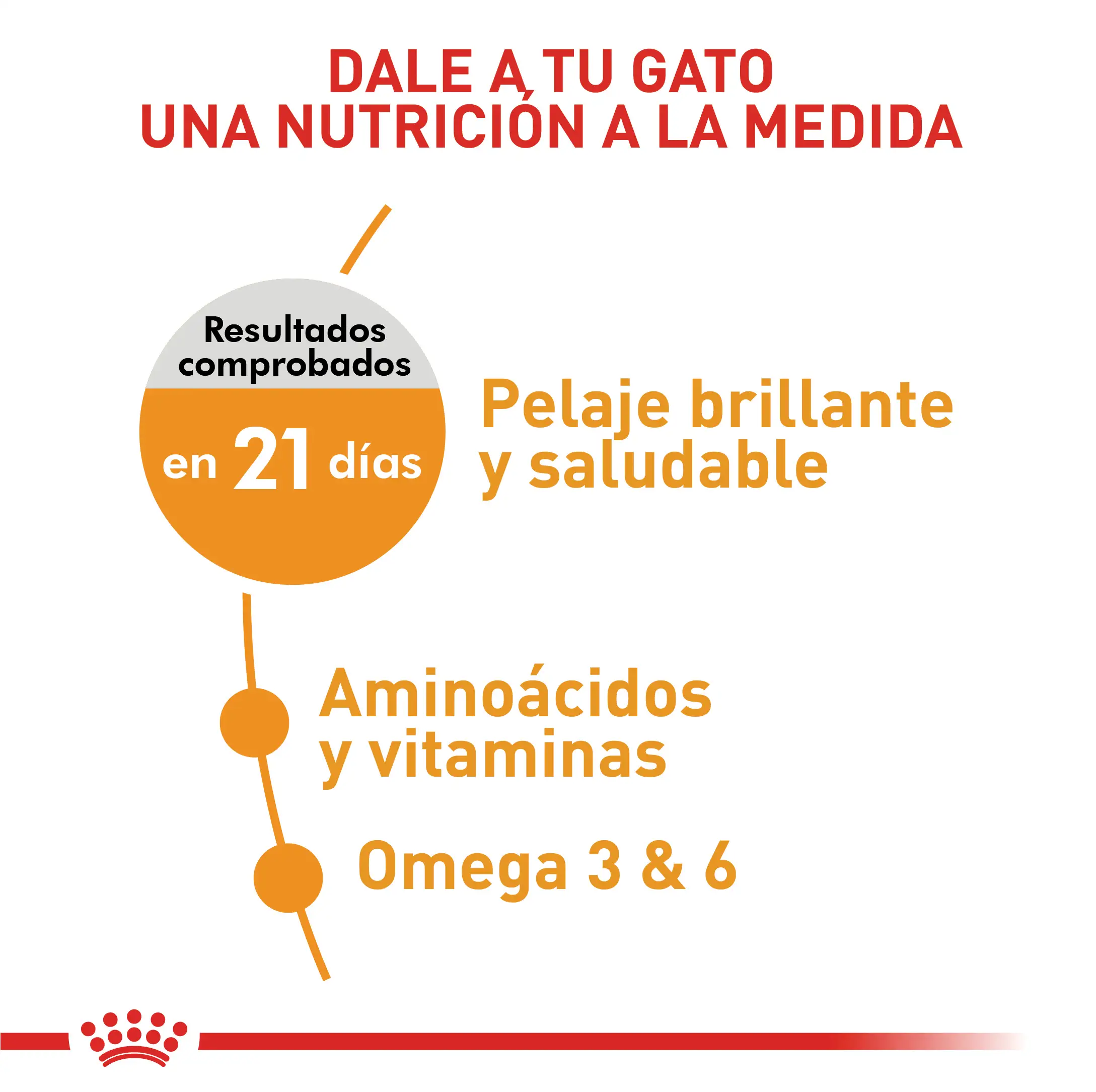 Alimento para gato Royal Canin FCN Hair & Skin Care - Image 2