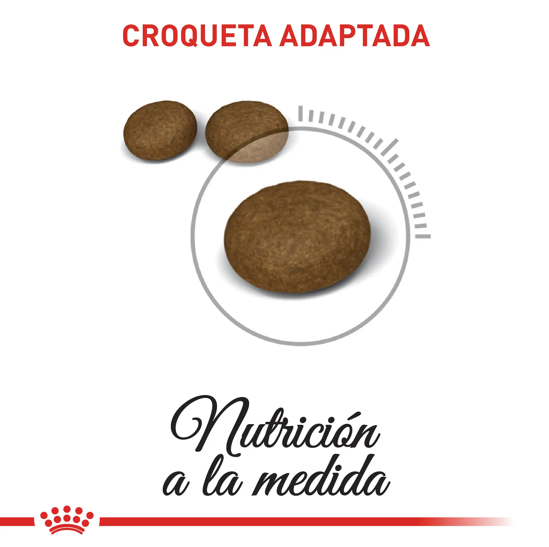 Alimento para gato Royal Canin FCN Hair & Skin Care - Image 3