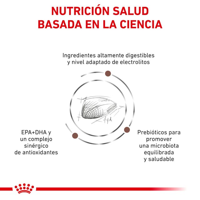 Alimento Para Gato Royal Canin Gastro Intestinal - Image 3