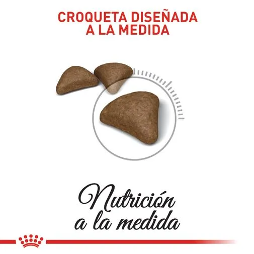 Alimento para gato Royal Canin Hairball Control - Image 2