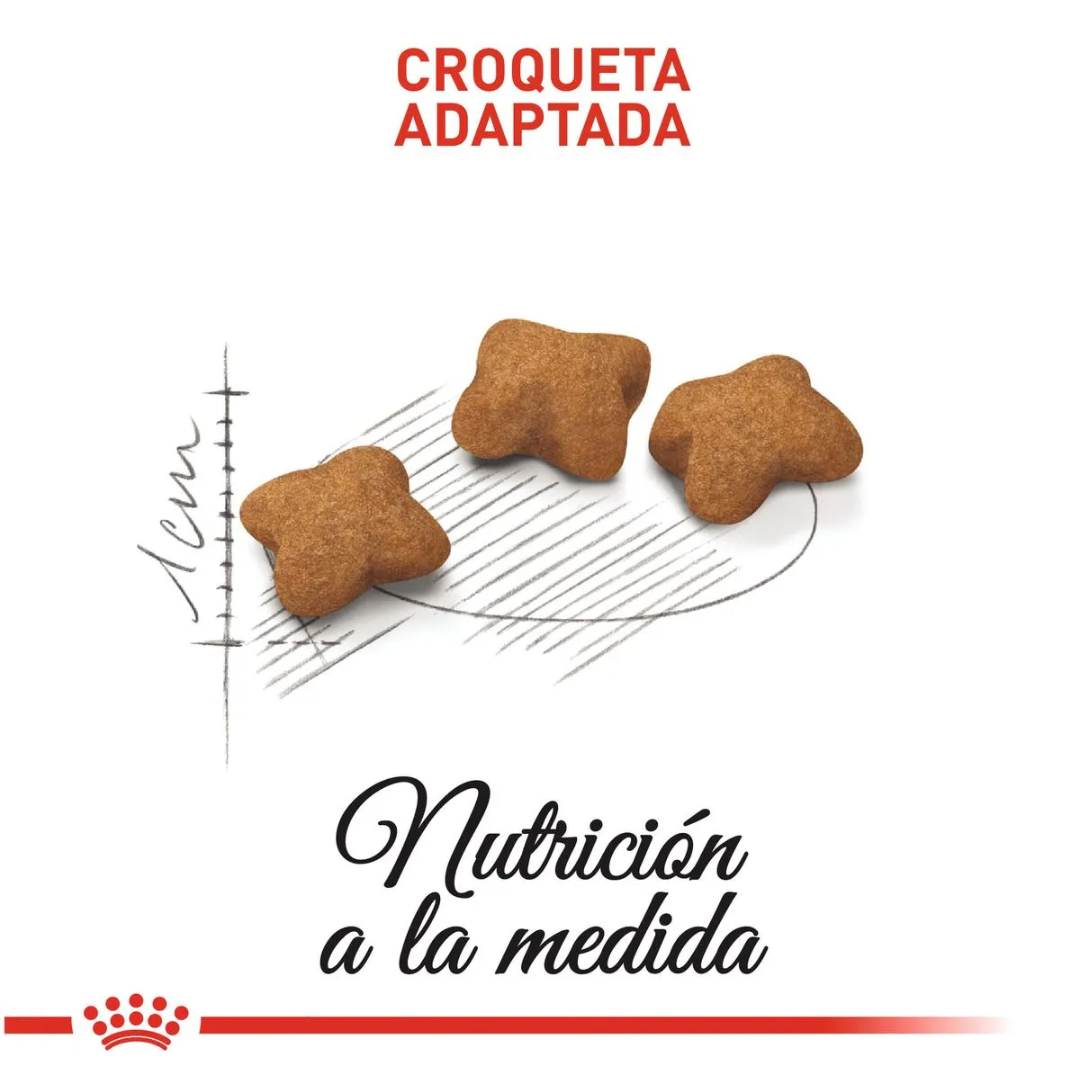 Alimento Para Gato Royal Canin Kitten Sterilised - Image 3