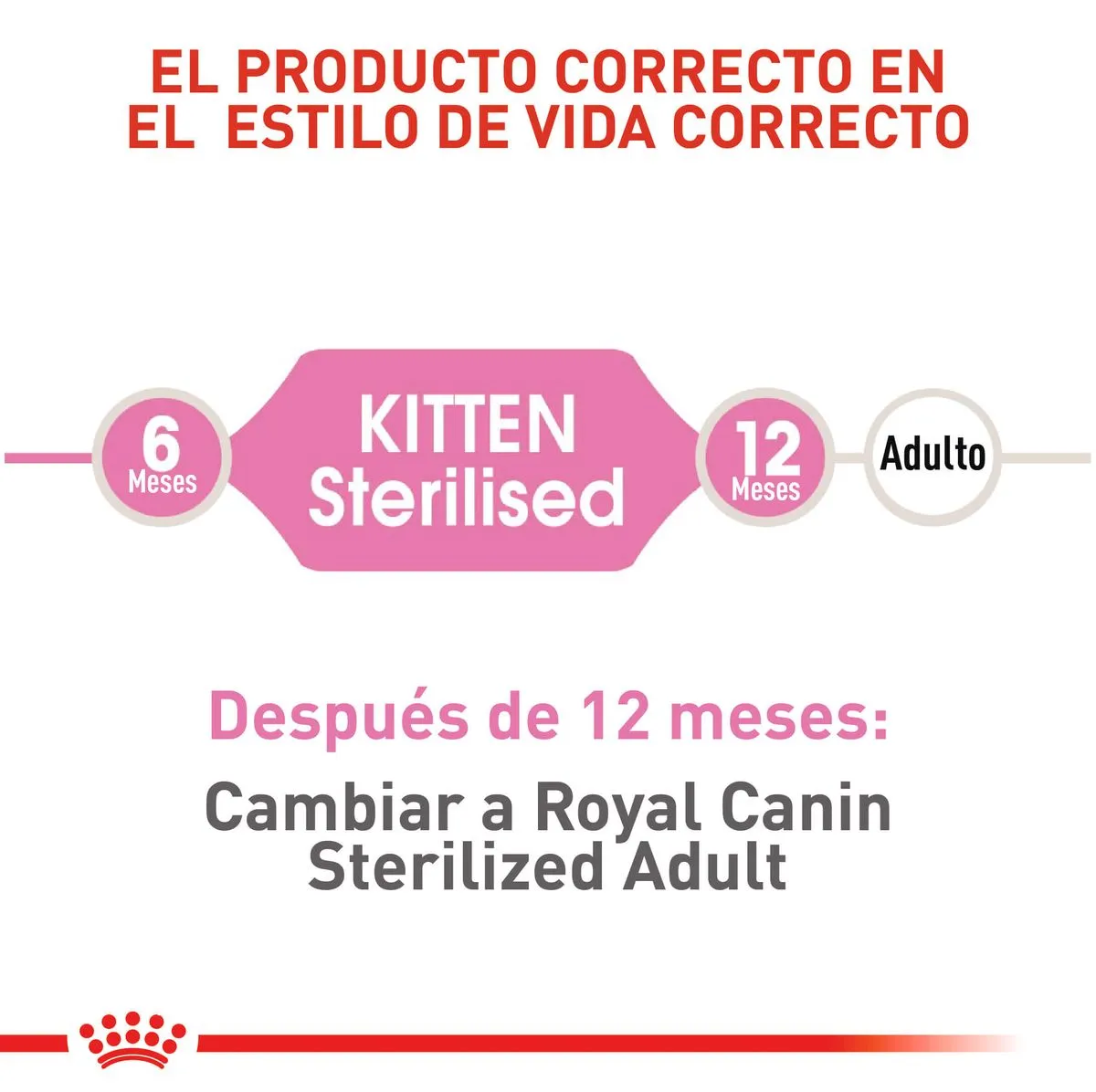Alimento Para Gato Royal Canin Kitten Sterilised - Image 4