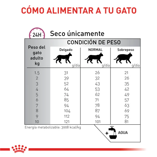Alimento Para Gato Royal Canin Renal Special - Image 7