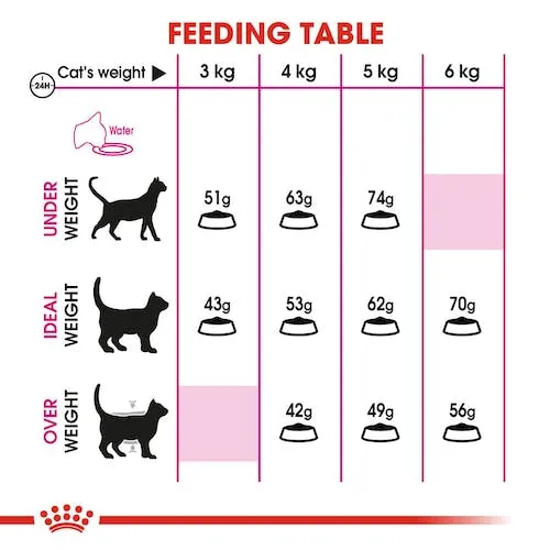 Alimento Para Gato Royal Canin Savour Exigent - Image 6