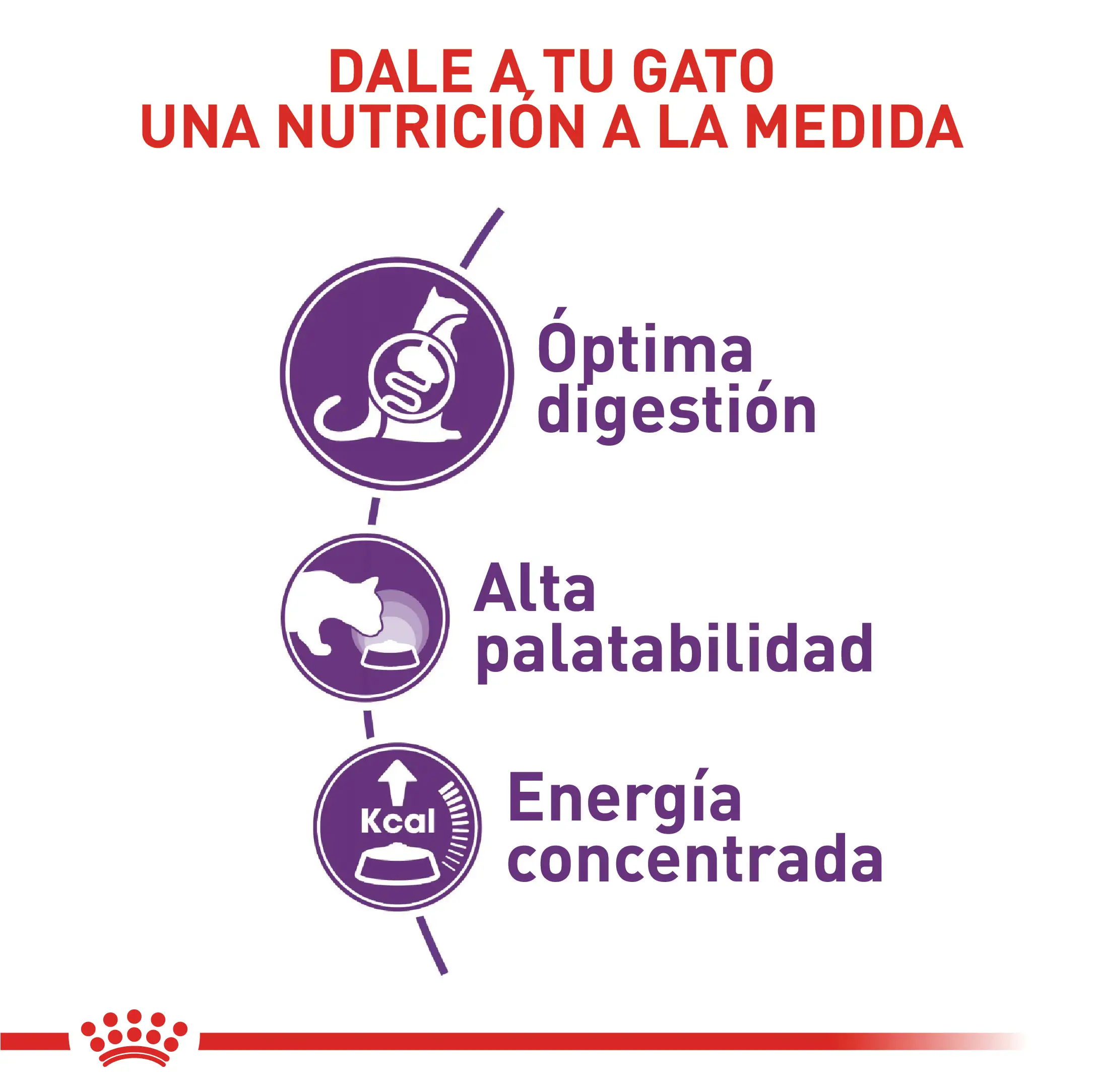 Alimento para gato Royal Canin Sensible - Image 4