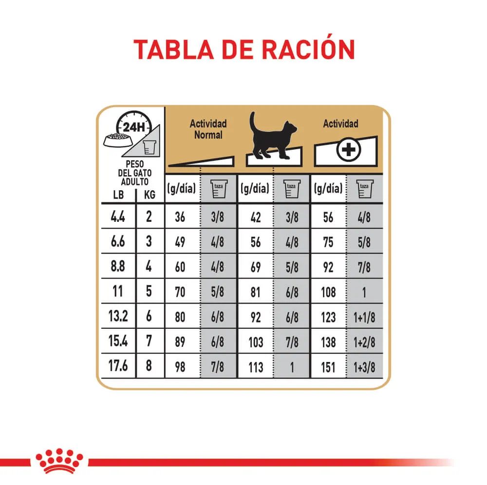 Alimento Para Gato Royal Canin Sphynx Adult - Image 6