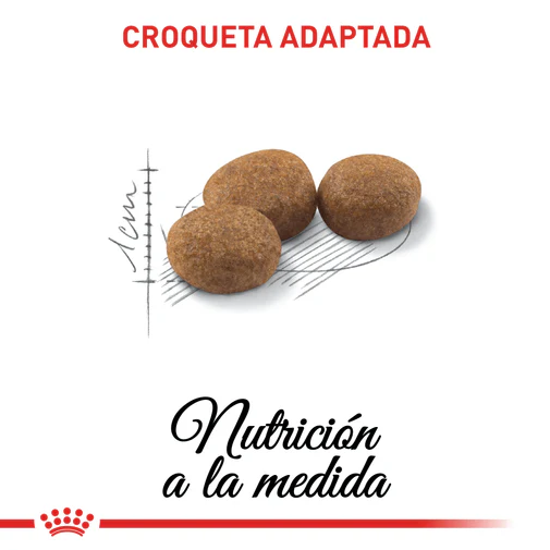 Alimento Para Gato Royal Canin Sterilised 37 - Image 3