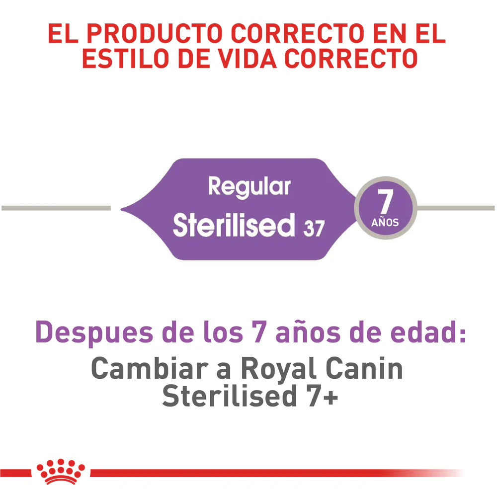 Alimento Para Gato Royal Canin Sterilised 37 - Image 5