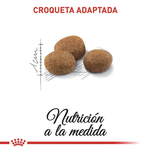 Alimento Para Gato Royal Canin Sterilised 7 - Image 3